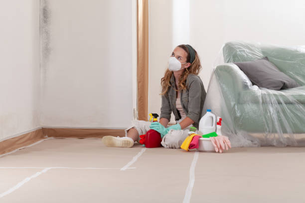 Reliable Basement Mold Remediation contractor in Lottsburg, VA by WQB Mold Removal